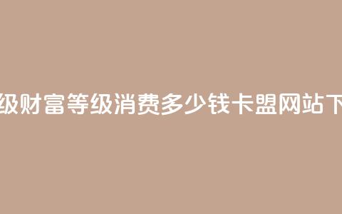抖音24级财富等级消费多少钱 - qq卡盟网站 第1张 抖音24级财富等级消费多少钱 - qq卡盟网站 第1张