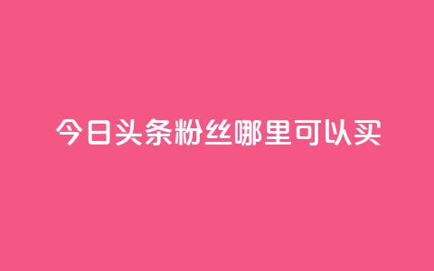今日头条粉丝哪里可以买 - 在哪里可以购买今日头条粉丝?! 第1张 今日头条粉丝哪里可以买 - 在哪里可以购买今日头条粉丝?! 第1张