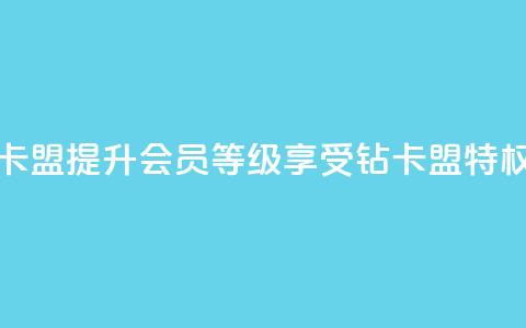 QQ会员钻卡盟 - 提升QQ会员等级，享受钻卡盟特权! 第1张
