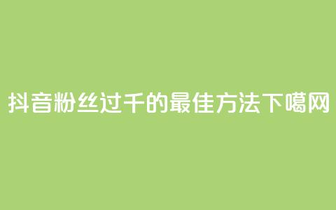 抖音粉丝过千的最佳方法 第1张 抖音粉丝过千的最佳方法 第1张