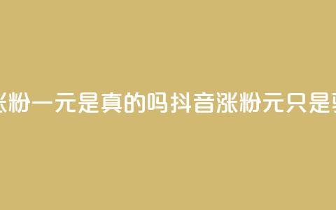 抖音涨粉一元是真的吗(抖音涨粉1元只是骗局吗) 第1张 抖音涨粉一元是真的吗(抖音涨粉1元只是骗局吗) 第1张