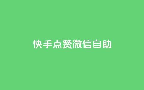 快手点赞微信自助 - 快手点赞与微信自助操作全指南! 第1张 快手点赞微信自助 - 快手点赞与微信自助操作全指南! 第1张