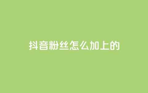 抖音粉丝怎么加上的,抖音快手账号交易平台官网 - 全网最低业务平台便宜快手 抖音粉丝怎么加上的 第1张 抖音粉丝怎么加上的,抖音快手账号交易平台官网 - 全网最低业务平台便宜快手 抖音粉丝怎么加上的 第1张