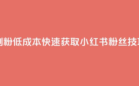 1元小红书秒刷1000粉 - 低成本快速获取小红书粉丝技巧揭秘。 第1张 1元小红书秒刷1000粉 - 低成本快速获取小红书粉丝技巧揭秘。 第1张
