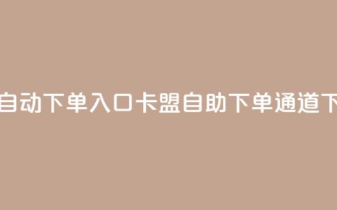 卡盟自动下单入口(卡盟自助下单通道) 第1张 卡盟自动下单入口(卡盟自助下单通道) 第1张