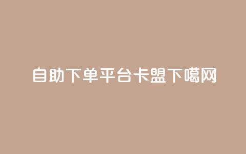 自助下单平台:91卡盟 第1张 自助下单平台:91卡盟 第1张