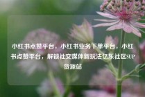 小红书点赞平台，小红书业务下单平台，小红书点赞平台，解锁社交媒体新玩法亿乐社区SUP货源站
