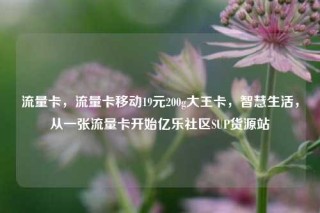流量卡，流量卡移动19元200g大王卡，智慧生活，从一张流量卡开始亿乐社区SUP货源站