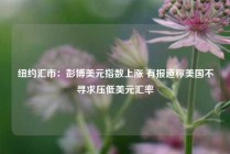 纽约汇市：彭博美元指数上涨 有报道称美国不寻求压低美元汇率