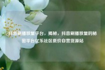 抖音刷播放量平台，揭秘，抖音刷播放量的秘密平台亿乐社区低价自营货源站