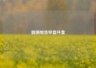 国债期货早盘开盘
