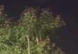 新疆多地市民拍到不明飞行物：几秒内加速消失，气象部门回应