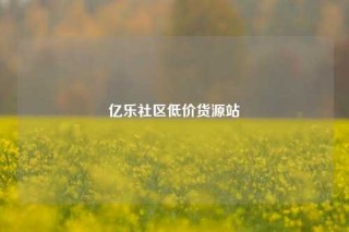 亿乐社区低价货源站