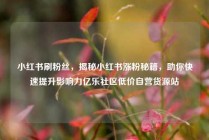小红书刷粉丝，揭秘小红书涨粉秘籍，助你快速提升影响力亿乐社区低价自营货源站