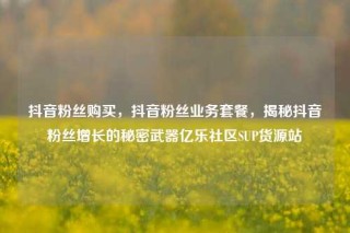 抖音粉丝购买，抖音粉丝业务套餐，揭秘抖音粉丝增长的秘密武器亿乐社区SUP货源站