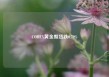 COMEX黄金期货跌0.79%