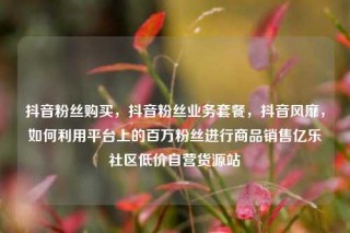 抖音粉丝购买，抖音粉丝业务套餐，抖音风靡，如何利用平台上的百万粉丝进行商品销售亿乐社区低价自营货源站