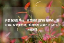 抖音涨流量网站，抖音涨流量网站有哪些，如何通过专业平台提升抖音账号流量？亿乐社区SUP货源站