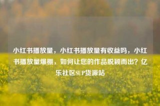 小红书播放量，小红书播放量有收益吗，小红书播放量爆棚，如何让您的作品脱颖而出？亿乐社区SUP货源站