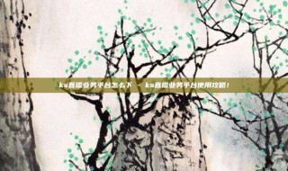 ks直播业务平台怎么下 - ks直播业务平台使用攻略！