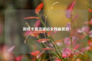 游戏卡盟货源站全网最低价