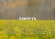 直客通商户平台