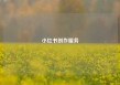 小红书创作服务