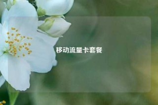 移动流量卡套餐