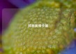 抖音视频卡盟