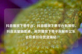 抖音播放下单平台，抖音播放下单平台有哪些，抖音流量新渠道，高效播放下单平台解析亿乐社区低价自营货源站