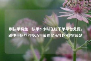 刷快手粉丝，快手24小时在线下单平台免费，刷快手粉丝的技巧与策略亿乐社区SUP货源站