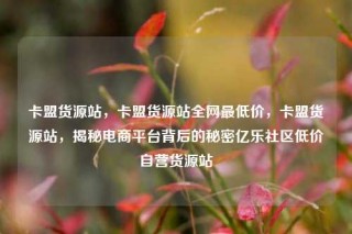 卡盟货源站，卡盟货源站全网最低价，卡盟货源站，揭秘电商平台背后的秘密亿乐社区低价自营货源站