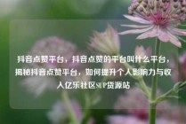 抖音点赞平台，抖音点赞的平台叫什么平台，揭秘抖音点赞平台，如何提升个人影响力与收入亿乐社区SUP货源站