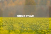 哔哩哔哩官方合作