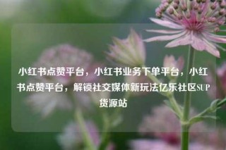 小红书点赞平台，小红书业务下单平台，小红书点赞平台，解锁社交媒体新玩法亿乐社区SUP货源站