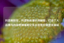 抖音刷粉丝，抖音粉丝增长的秘密，打造个人品牌与内容营销策略亿乐社区低价自营货源站