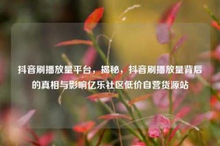 抖音刷播放量平台，揭秘，抖音刷播放量背后的真相与影响亿乐社区低价自营货源站