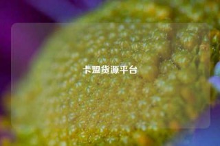 卡盟货源平台