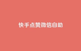 快手点赞微信自助 - 快手点赞与微信自助操作全指南！