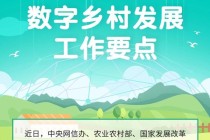 中经评论：为强村富民插上“数字之翼”