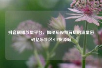 抖音刷播放量平台，揭秘短视频背后的流量密码亿乐社区SUP货源站