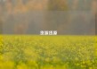 货源货源