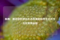 陈刚：推动良好政治生态和美好自然生态共生共优相得益彰