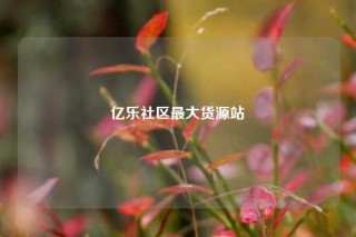 亿乐社区最大货源站