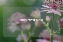 涨粉平台代理怎么做