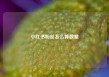 小红书粉丝怎么算数量