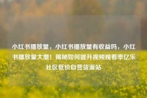 小红书播放量，小红书播放量有收益吗，小红书播放量大增！揭秘如何提升视频观看率亿乐社区低价自营货源站