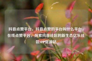 抖音点赞平台，抖音点赞的平台叫什么平台，在线点赞平台，探索抖音社区的新生态亿乐社区SUP货源站