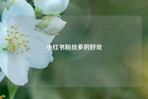 小红书粉丝多的好处