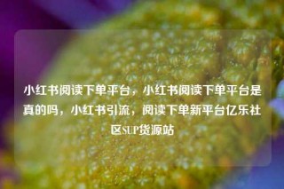 小红书阅读下单平台，小红书阅读下单平台是真的吗，小红书引流，阅读下单新平台亿乐社区SUP货源站